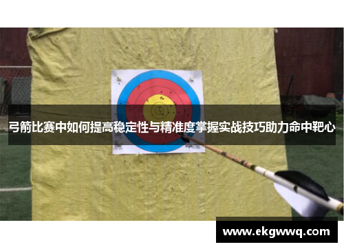 弓箭比赛中如何提高稳定性与精准度掌握实战技巧助力命中靶心